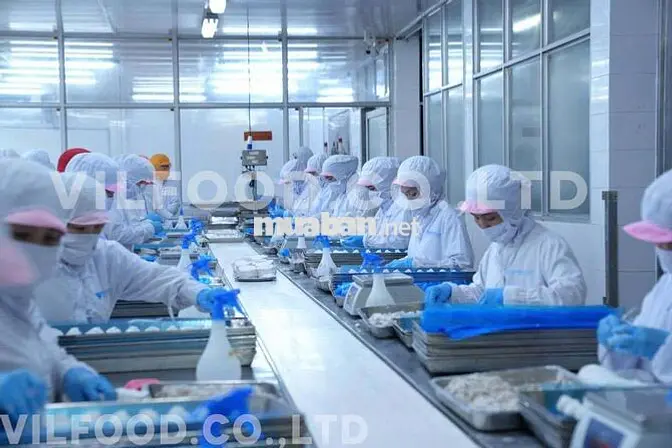 TUYỂN CÔNG NHÂN NỮ VỆ SINH KHU VỰC SẢN XUẤT