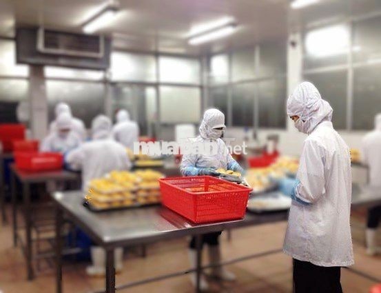 TUYỂN CÔNG NHÂN NỮ VỆ SINH KHU VỰC SẢN XUẤT