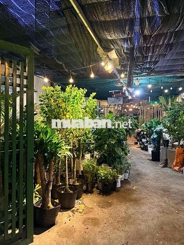 [SeeGarden]Tuyển Dụng LĐPT, Giao Hàng, Sale Online