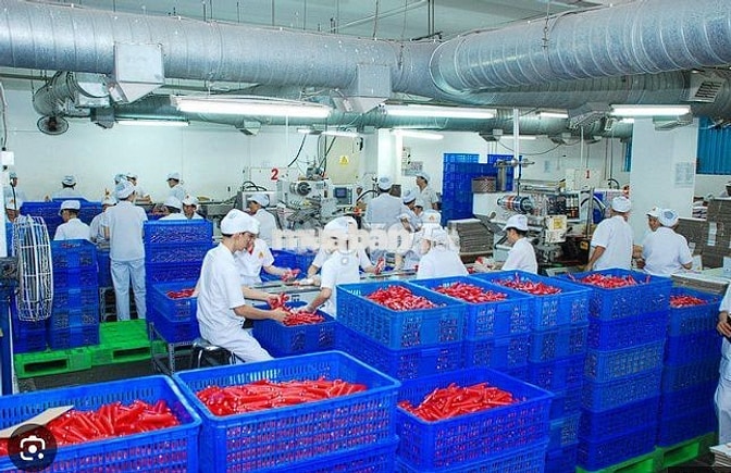 SẢN XUẤT ĐÓNG GÓI THỰC PHẨM_ THƯỞNG 2TR2 _ BAO CƠM