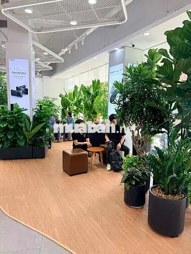 [SeeGarden]Tuyển Dụng LĐPT, Giao Hàng, Sale Online