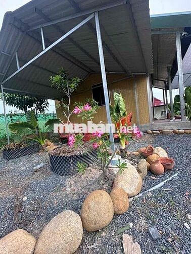 bán nhà Vườn 1000m Đức Huệ, Long An