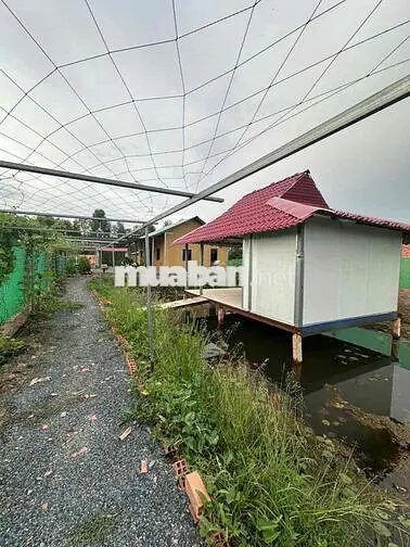 bán nhà Vườn 1000m Đức Huệ, Long An