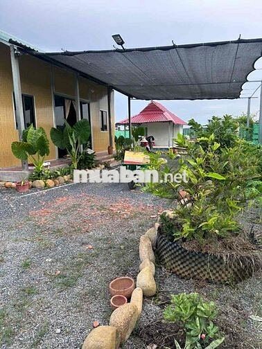 bán nhà Vườn 1000m Đức Huệ, Long An