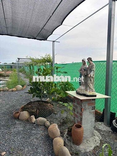 bán nhà Vườn 1000m Đức Huệ, Long An