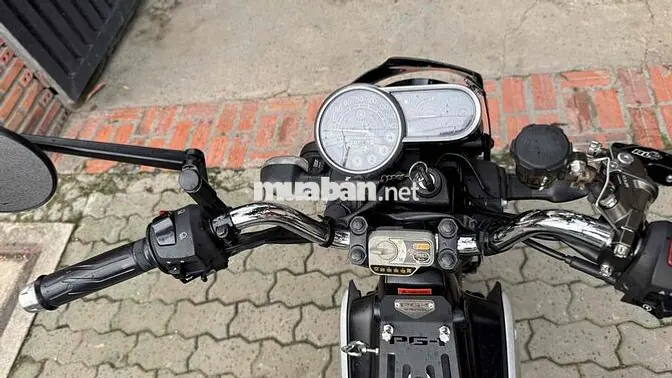 Yamaha PG-1 2024 kiểng