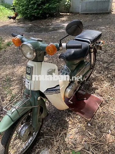 Honda Super Cub 81 Xanh Trắng