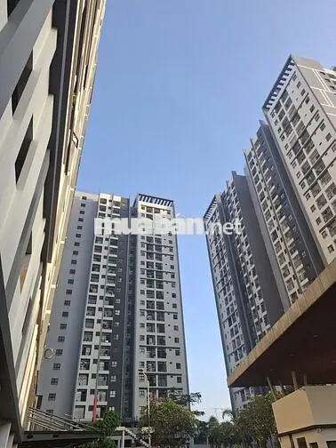 Cho thuê Eco Xuân 2PN 5,5tr, 3PN 6,5tr