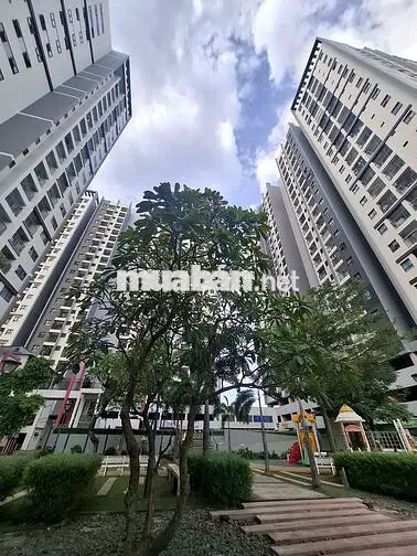Cho thuê Eco Xuân 2PN 5,5tr, 3PN 6,5tr