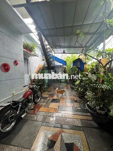 Bán Nhà Mặt Tiền Bạch Đằng Tân Lập Nha Trang Ngang 8,3m