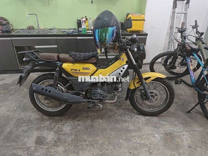 Yamaha PG-1 2004 Vàng 20.000 km