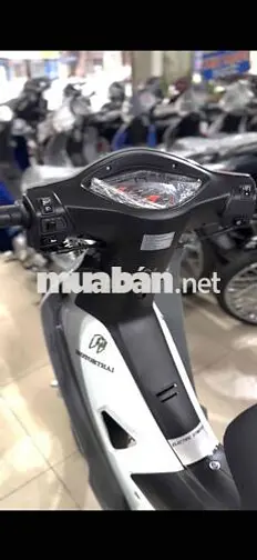 Xe Máy Motorthai 50cc Bstp Bao Công Chứng
