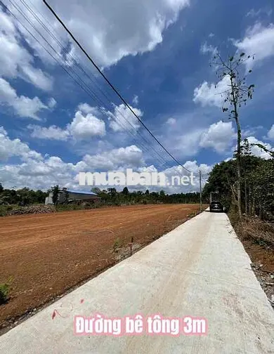ĐẤT CHÂU ĐỨC BRVT GIẢM GIÁ 440TR