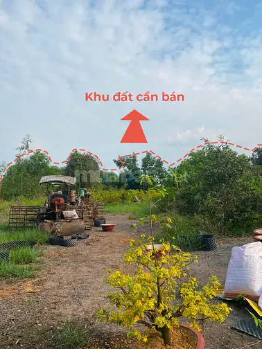 Bán đất P.Tây Nam Tp HCM giáp rạch, gần sông SG, tiện ra TL744