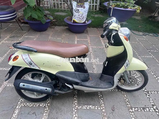 Yamaha Mio Classico Vàng-Nâu