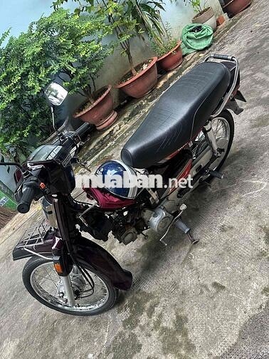 Honda Dream Thái Tím