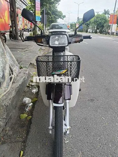Honda Dream Thái Nâu, Trắng