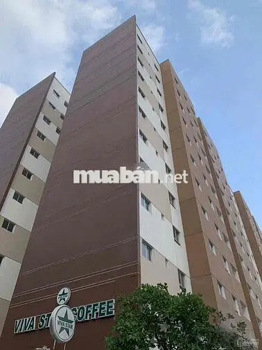 Cho thuê CH Topaz Celadon City 50m 7tr5 nhà trồng giao ngay