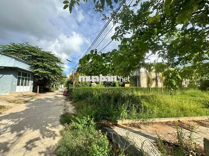 chính chủ bán đất xây Homestay cầu Cẩm Kim Hội An