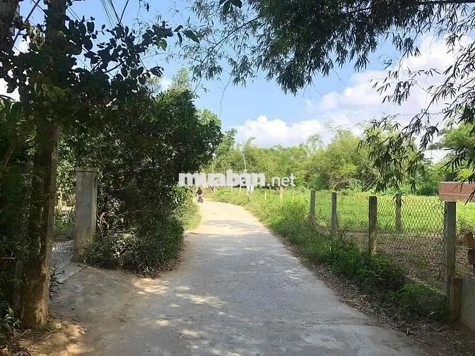chính chủ bán đất xây Homestay cầu Cẩm Kim Hội An