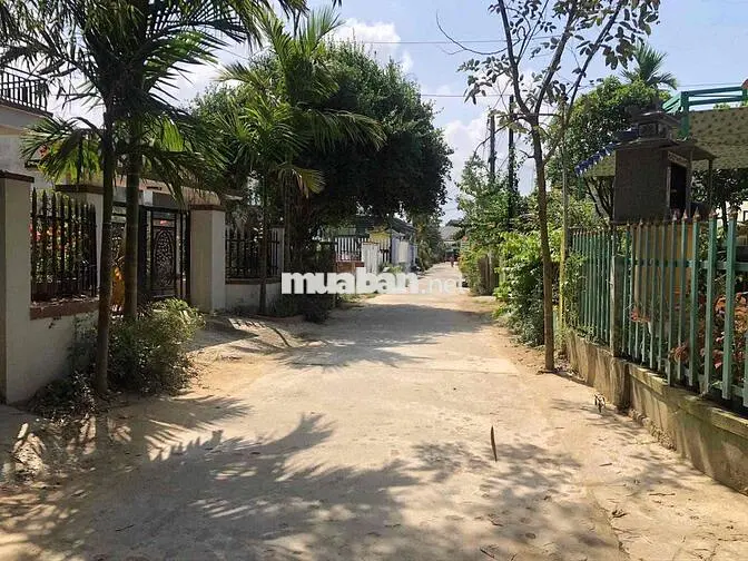chính chủ bán đất xây Homestay cầu Cẩm Kim Hội An