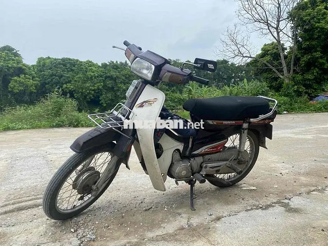 Honda Dream Nâu trắng Cổ điển