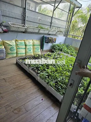 Chung cư nhiều tiện ích, thoáng mát