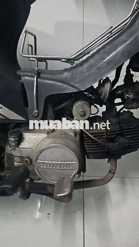 Honda Dream Cổ điển Đen, Tím