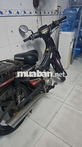 Honda Dream Cổ điển Đen, Tím