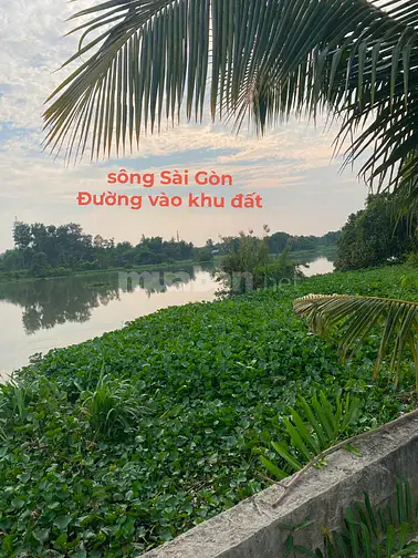 Bán đất P.Tây Nam Tp HCM giáp rạch, gần sông SG, tiện ra TL744
