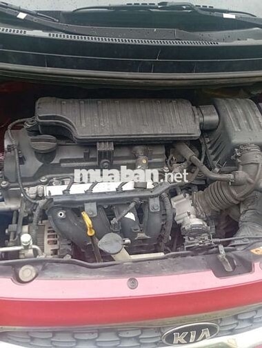 Kia Morning 2019 đỏ 5 chỗ
