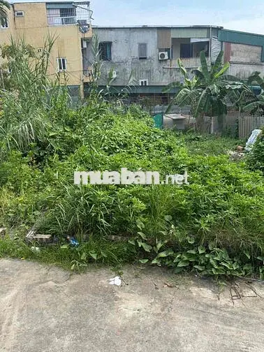 Bán đất trung tâm Đông Dư ngõ ô tô thông rộng thoáng 45m2 giá 4.85 tỷ