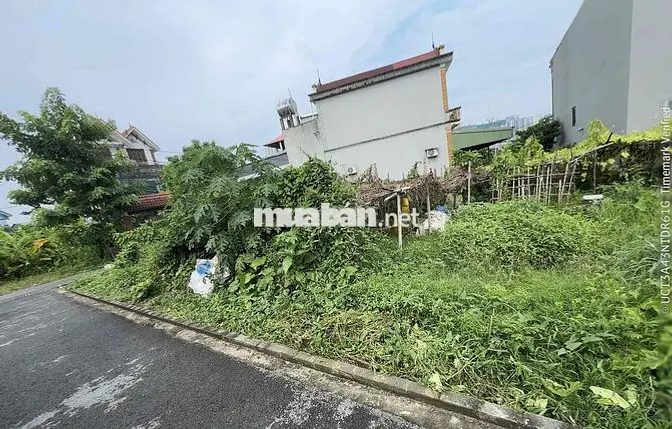 Bán đất Giáp Hải Đông dư ô tô vào tận đất 41m2 4.1 tỷ
