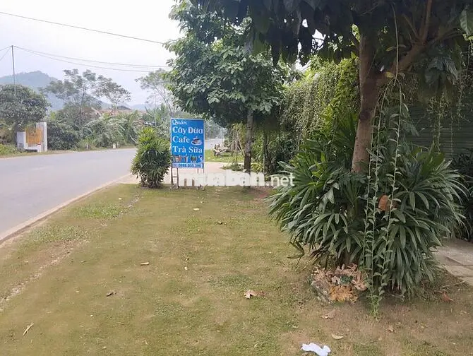 Đất thổ cư đã có sổ đỏ, mặt tiền quốc lộ 217 Huyện Bá Thước-Thanh Hóa