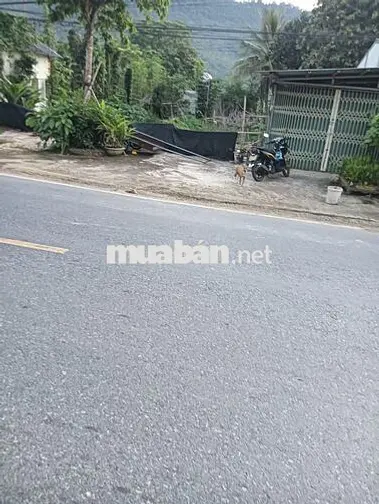 Đất thổ cư đã có sổ đỏ, mặt tiền quốc lộ 217 Huyện Bá Thước-Thanh Hóa