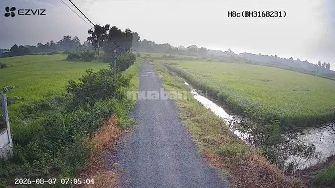 ĐẤT VIEW SÔNG VÀM CỎ TÂY ,ĐƯỜNG NHỰA ,XE HƠI ĐẾN ĐẤT 