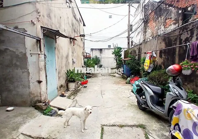 CHO THUÊ PHÒNG TRỌ PHƯỜNG 15 QUẬN TÂN BÌNH 