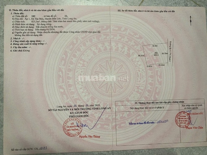 CHÍNH CHỦ BÁN NỀN BIỆT THỰ GIÁP BÌNH CHÁNH HCM