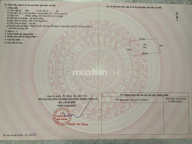 CHÍNH CHỦ BÁN NỀN BIỆT THỰ GIÁP BÌNH CHÁNH HCM