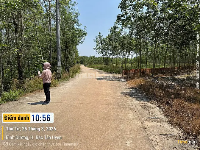  CÔNG TY ĐẤU GIÁ HỢP DANH MINH PHÁP THÔNG BÁO ĐẤU GIÁ TÀI SẢN