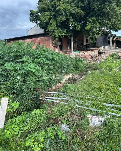 🌿 ĐẤT VƯỜN RỘNG 2.618M² TRÍ BÌNH, CHÂU THÀNH, TÂY NINH - GIÁ CHỈ 500 
