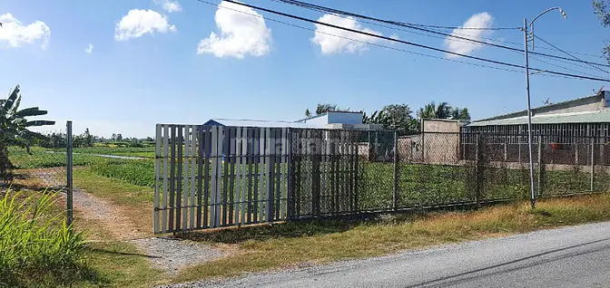 Bán nhanh lô đất 16.500m2 mặt tiền đường HL11, Gò Công Tây, Tiền Giang