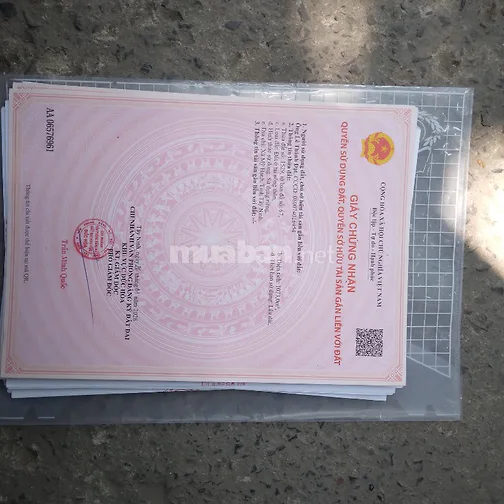 Đât nên re đưc hoa long an.gia 500tr.nên. đen 1ty 450tr.