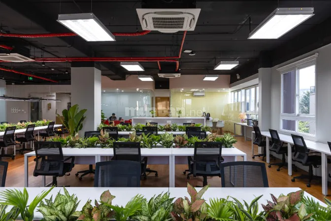 Bán sàn văn phòng hạng A - full nội thất - Tạo dòng tiền ngay - Chính 