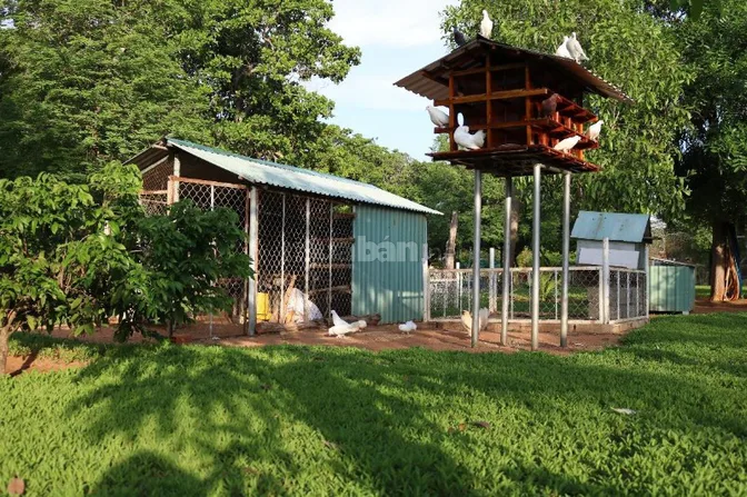 CHÍNH CHỦ CẦN BÁN 1.150M² ĐẤT MŨI NÉ - GIẤY TỜ ĐẦY ĐỦ