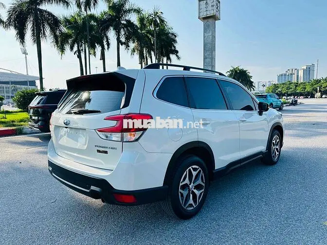 Subaru Forester 2.0i 2022 Trắng