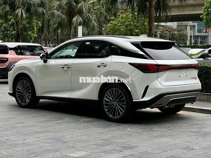 Lexus RX350h Luxury Trắng Hybrid