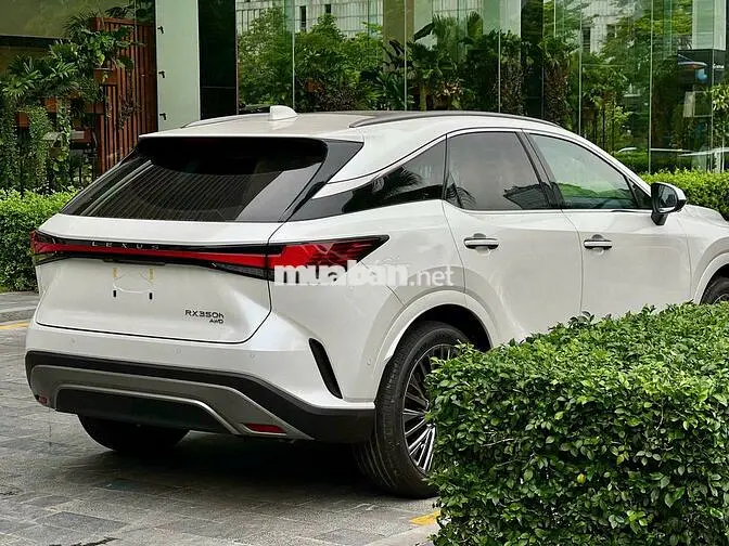 Lexus RX350h Luxury Trắng Hybrid