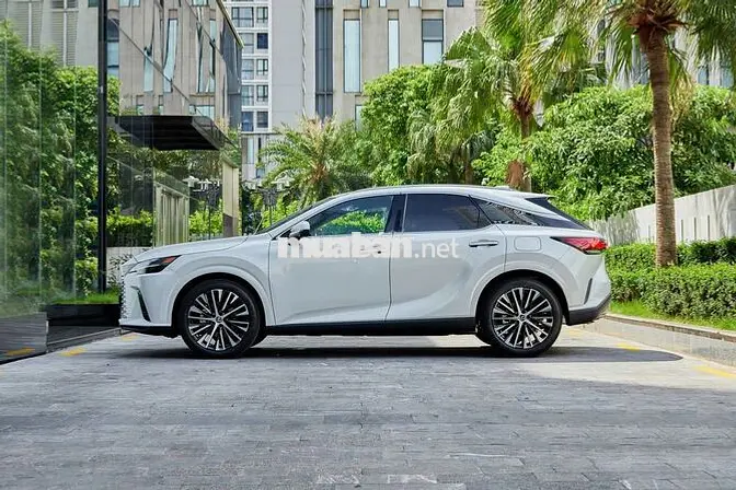Lexus RX350h Premium Trắng