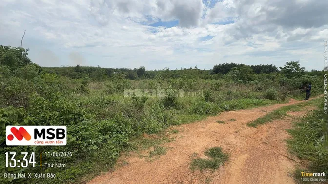 Công ty Đấu giá hợp danh Lam Sơn Sài Gòn THÔNG BÁO ĐẤU GIÁ TÀI SẢN